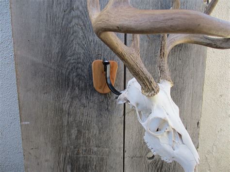 skull hooks for european mounts